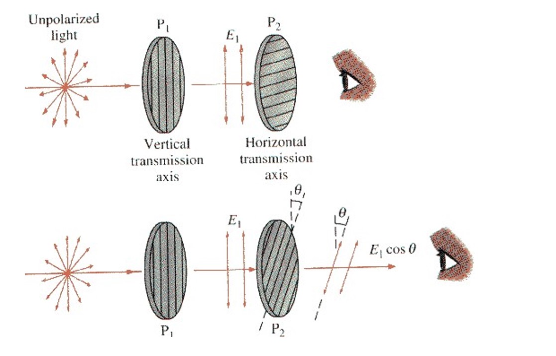 Effect of Intensity of light due Polarisation